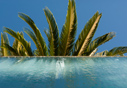 hotel with swimming pool sperlonga Swimming pool services - 4